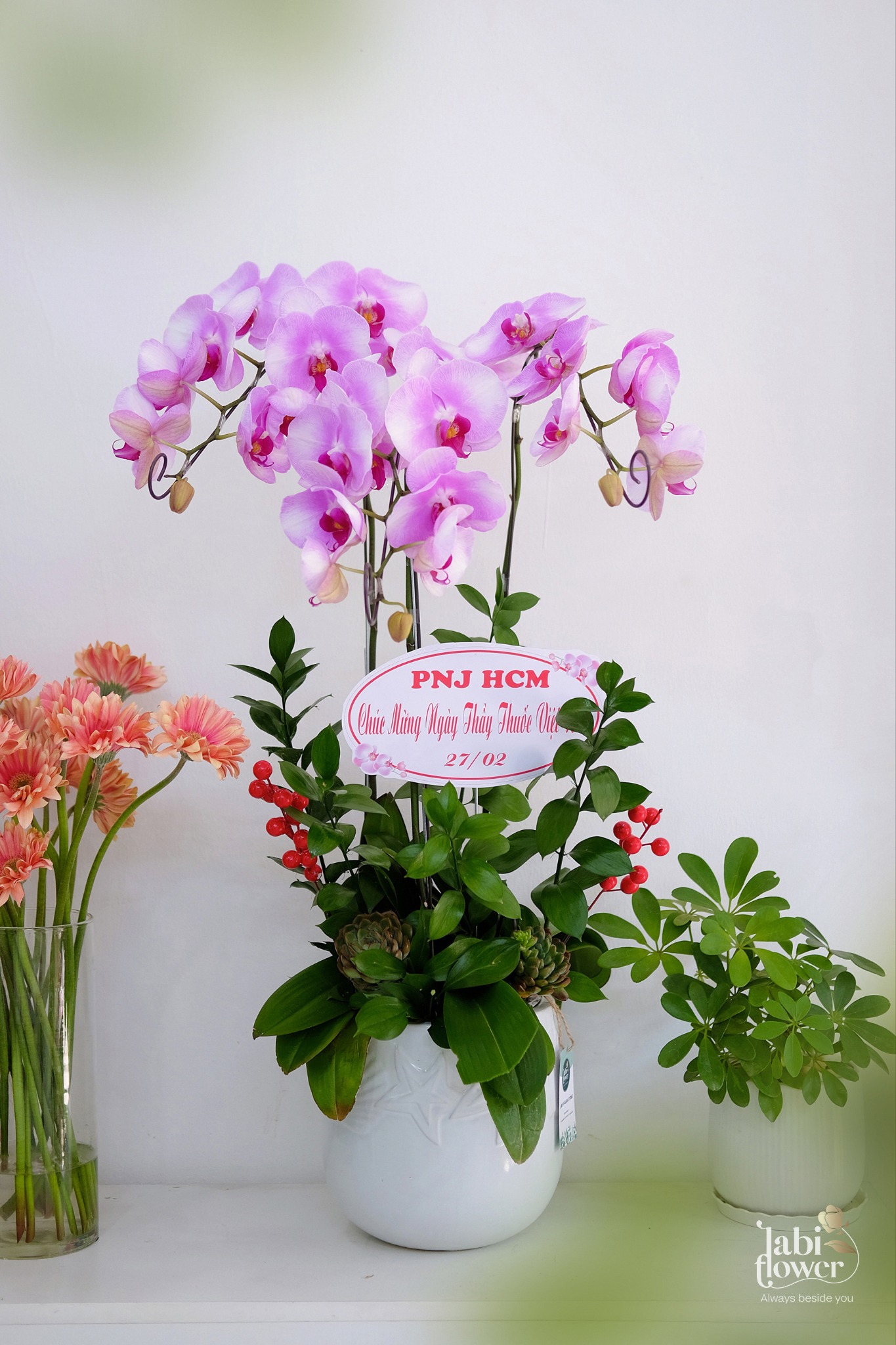 LAN HỒ ĐIỆP LHD01319