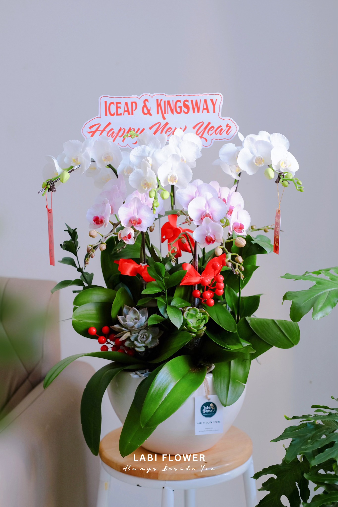 LAN HỒ ĐIỆP LHĐ HĐ00920