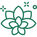  Đặt hàng trực tuyến 